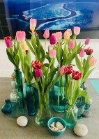 Flowers Tulips Creativity