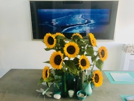 Flowers Sun Creativity