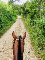 Horse riding San Agustin
