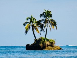 Palm tree island Bocas
