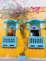 Street with flowers Cartagena