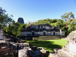 Acrópolis Central Tikal Guatemala  Guatemala Travel Blog