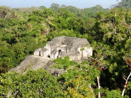 Mundo Perdido Tikal Guatemala  Guatemala Travel Blog