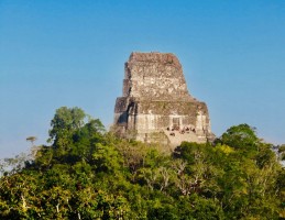 Templo IV Tikal Guatemala  Guatemala Travel Blog