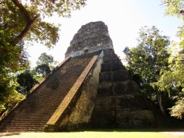 Templo V Tikal Guatemala  Guatemala Travel Blog