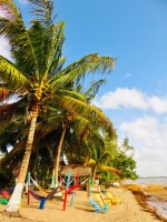 Beach Hopkins Belize
