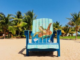 Chair Placencia Belize