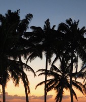 Sunset Palms Caye Caulker Belize