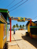 Tipsy Tuna Placencia Belize