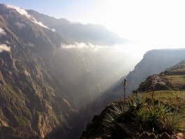 Colca Canyon Arequipa Peru