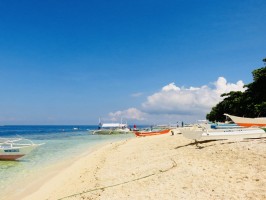 Balicasag Island Bohol Philippines