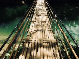 Bamboo Bridge Bohol Philippines