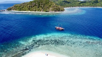 Drone Tacling Island TAO Experience