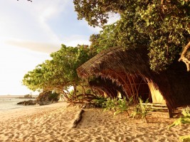 Island Life Huts Guinto TAO Experience