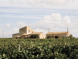 Wine Fields Marsala Tasting Cantina Pellegrino West Sicily Italy Travel Blog