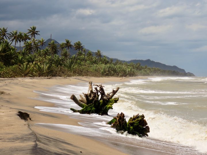 Coastline of Palomino Colombia; Colombia Travel Blog Inspirations