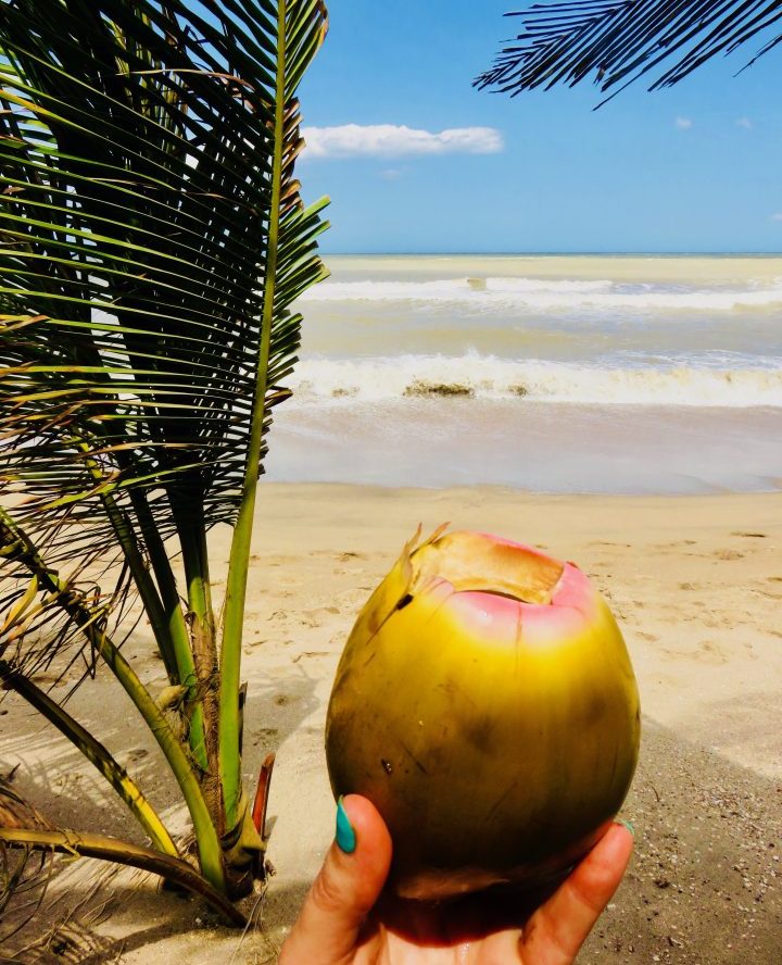 Crack your own coconut in Palomino Colombia; Colombia Travel Blog Inspirations