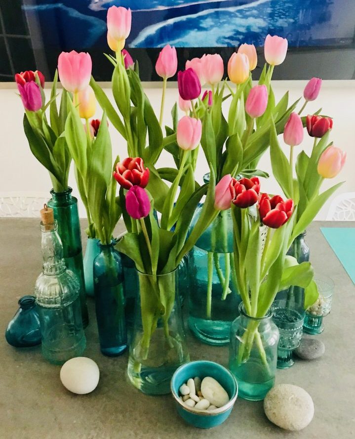 Tulips Flowers for decorations in Creativity; Creativity Tips and inspirations Blog