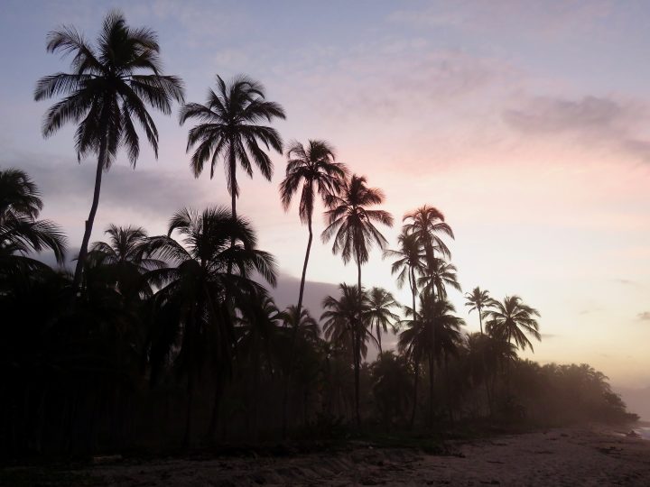 Palms sunset at accommodation Costeño near Tayrona; Colombia Travel Blog Inspirations