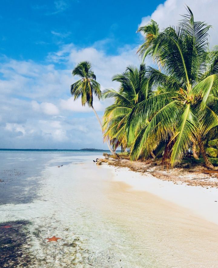 Seastar beach at San Blas Islands Panama; Panama Travel Blog Inspirations