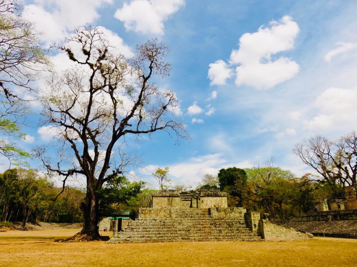 Archaeological site Main Plaza Copán Ruinas Honduras, Honduras Travel Blog